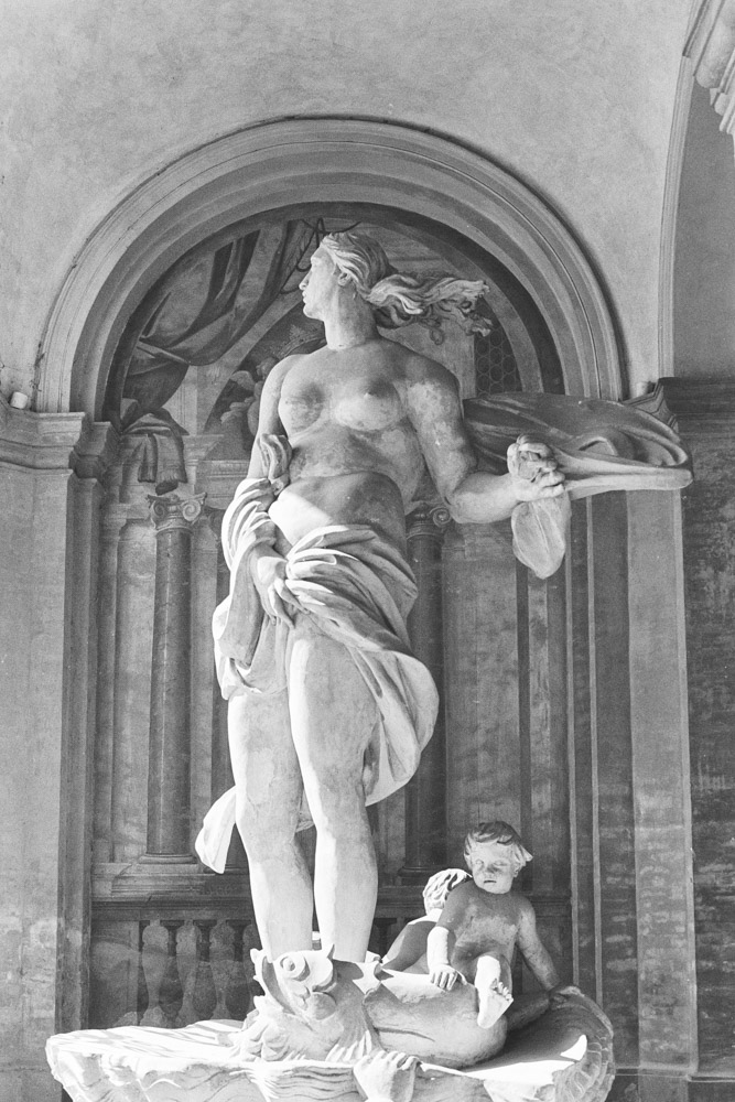 contax foma 100 sassuolo 12